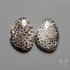 Stingray Black Fossil Corals Pair