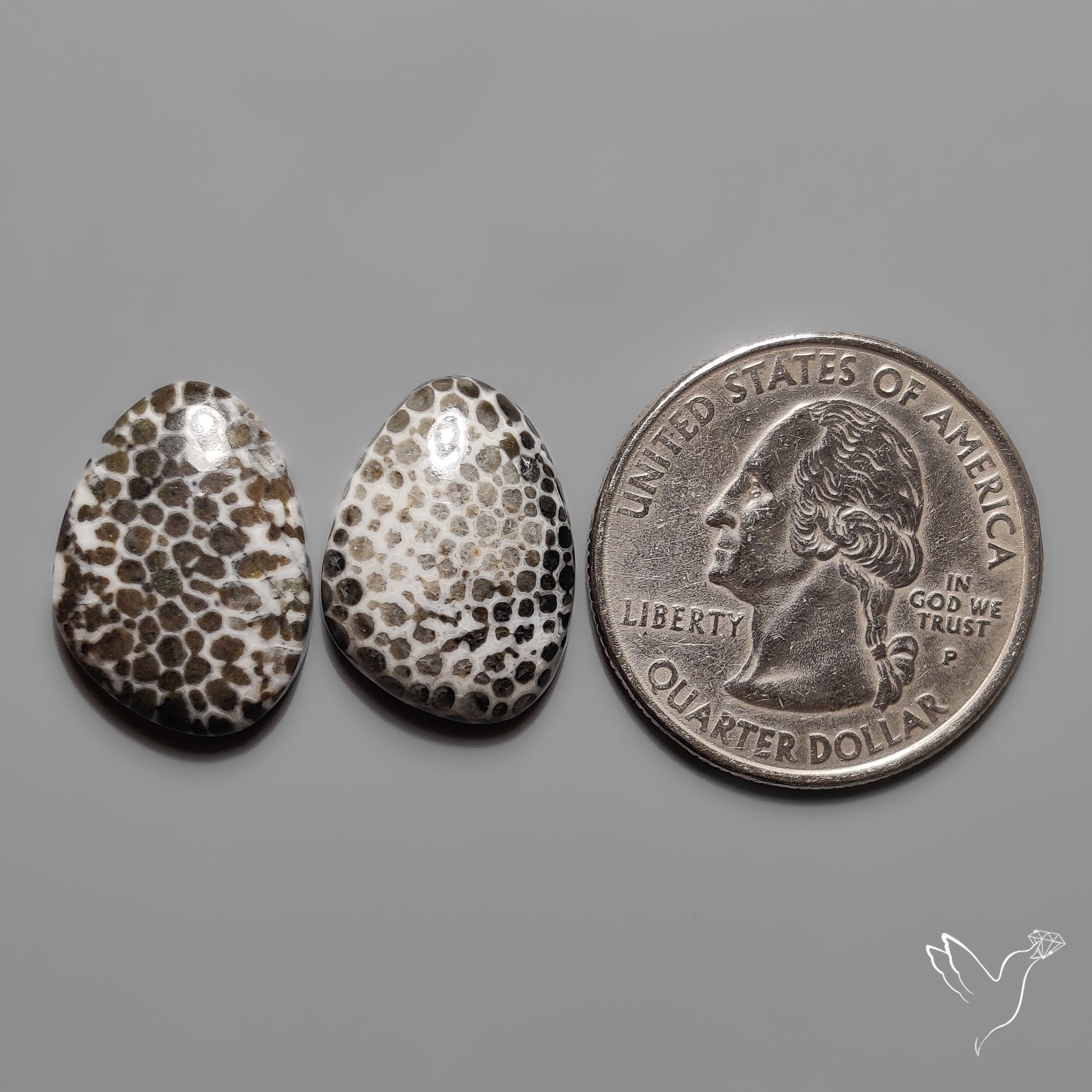 Stingray Black Fossil Corals Pair