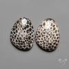 Stingray Black Fossil Corals Pair