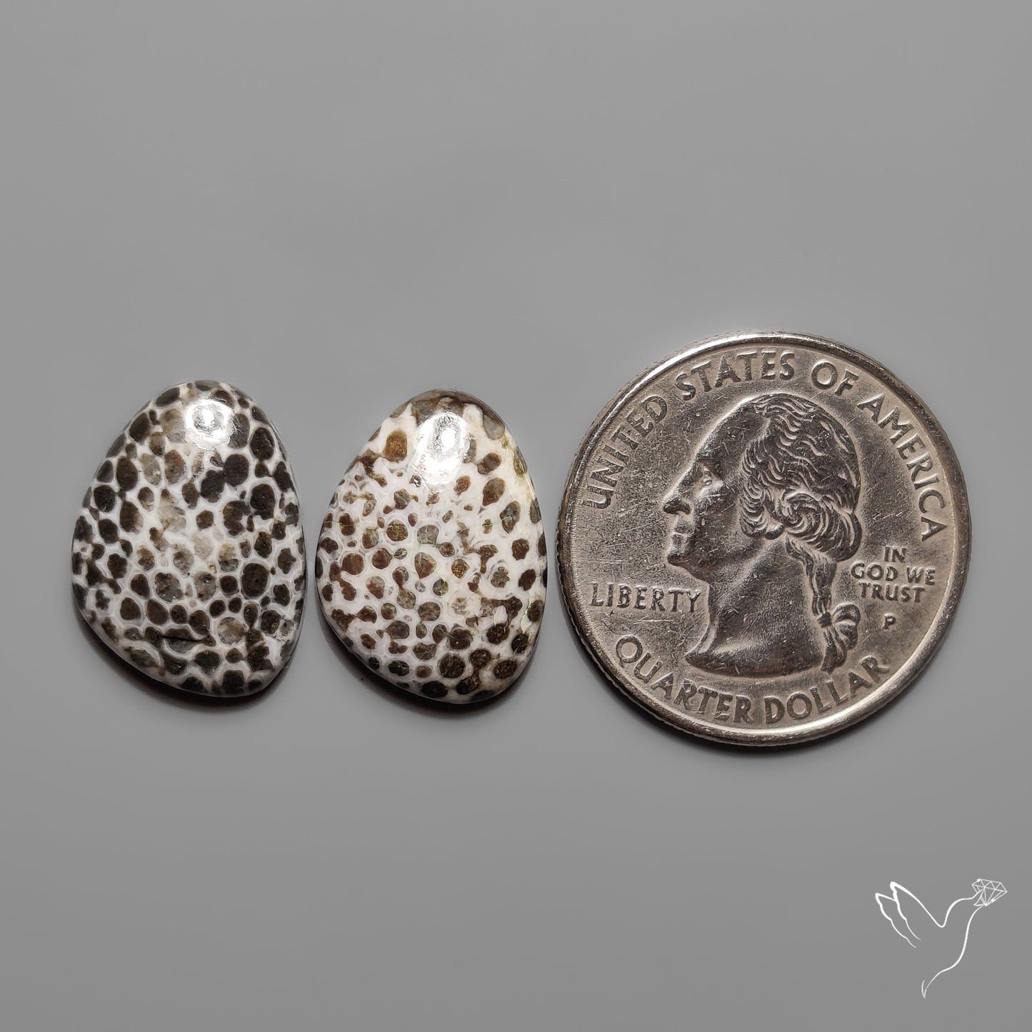 Stingray Black Fossil Corals Pair