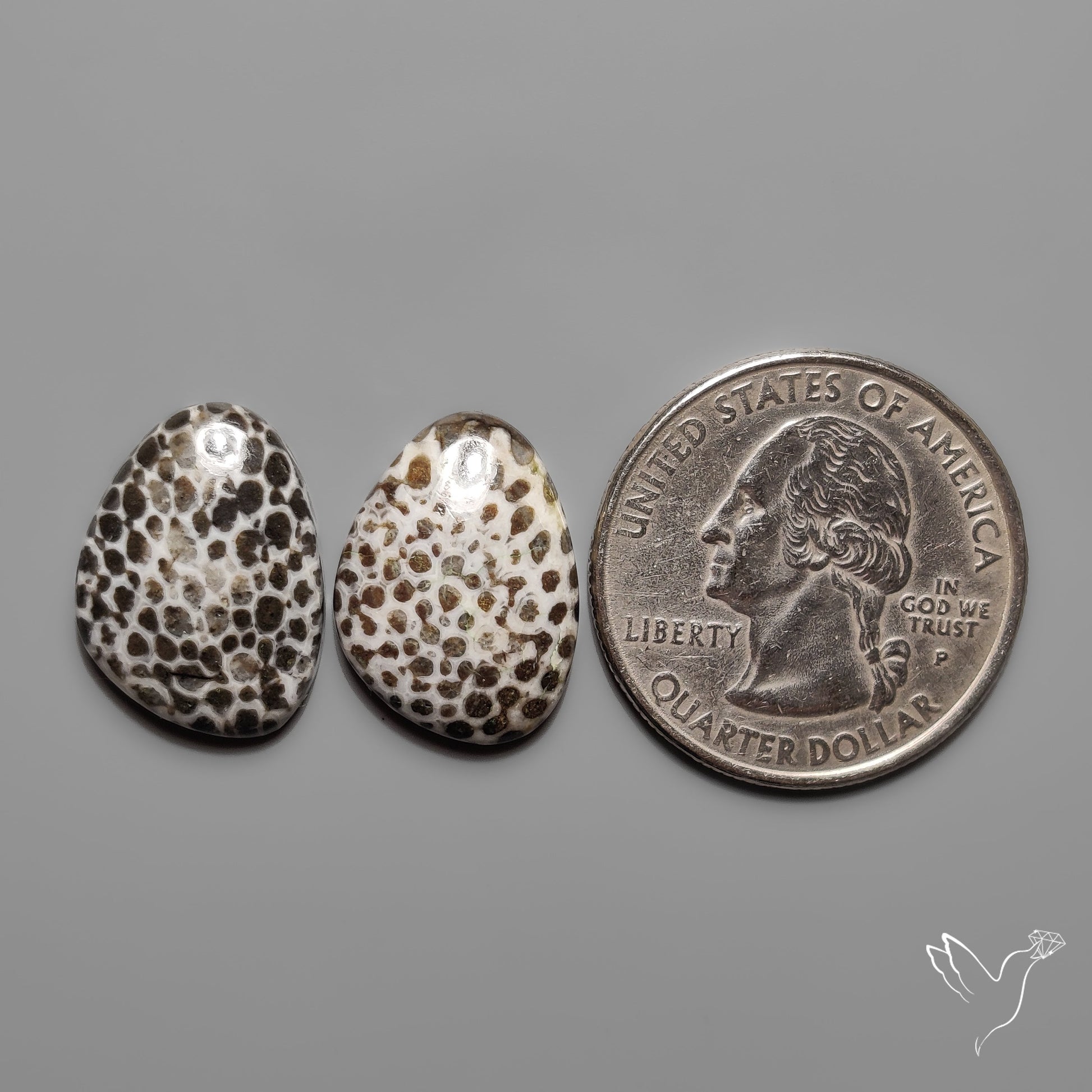 Stingray Black Fossil Corals Pair