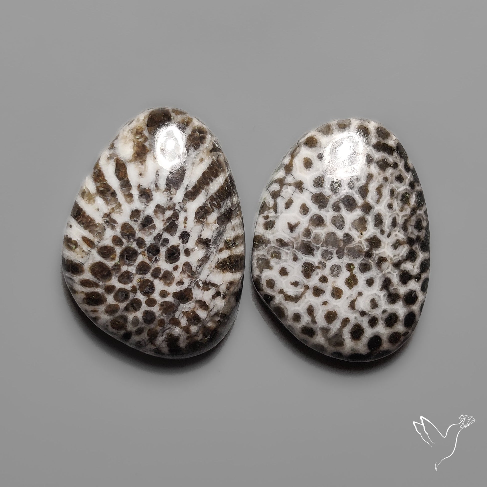 Stingray Black Fossil Corals Pair
