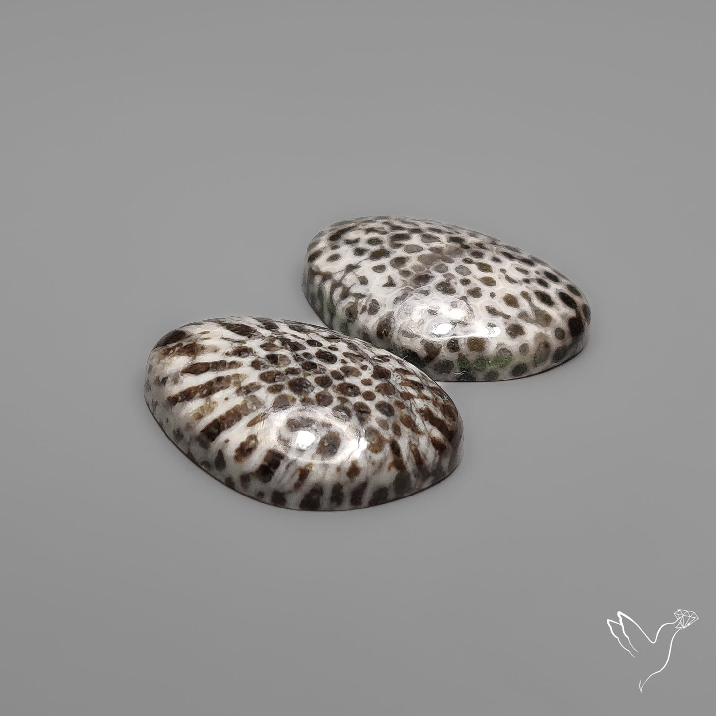 Stingray Black Fossil Corals Pair