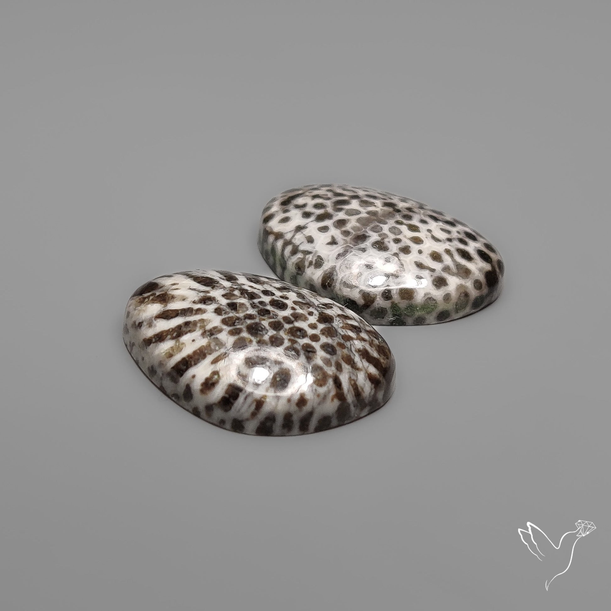 Stingray Black Fossil Corals Pair