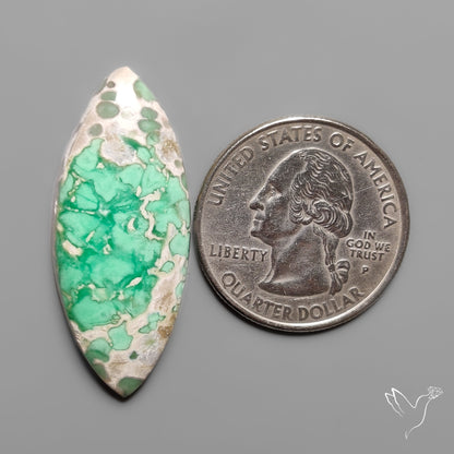 Australian Variscite Cabochon