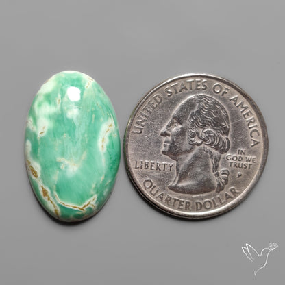 Australian Variscite Cabochon