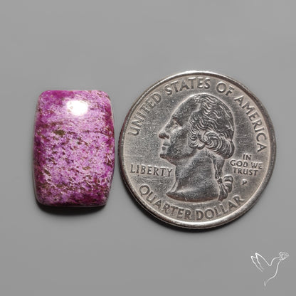 Stitchtite Cabochon