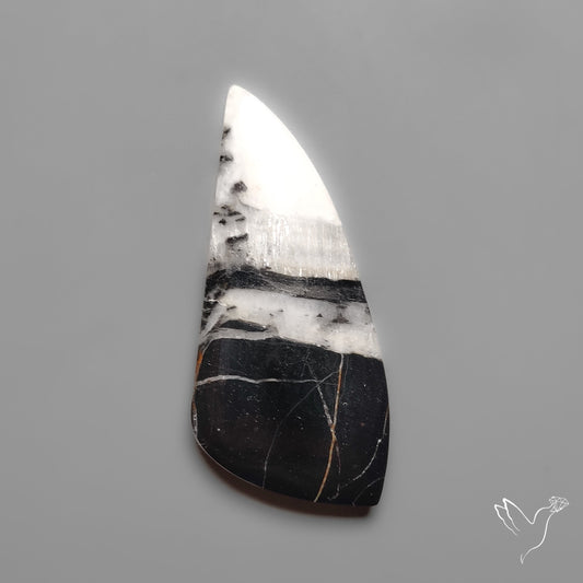 White Buffalo Turquoise