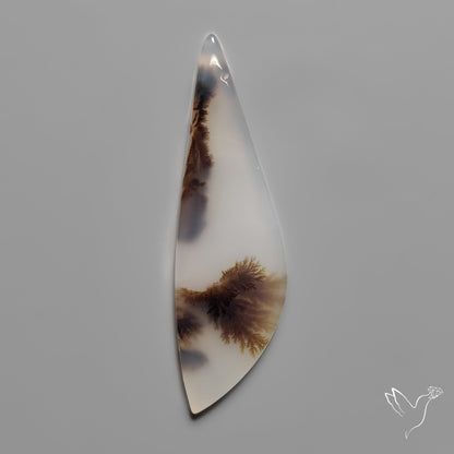 Scenic Agate