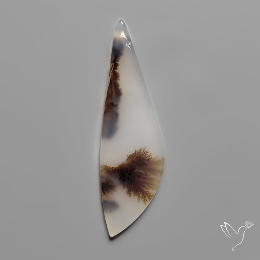 Scenic Agate