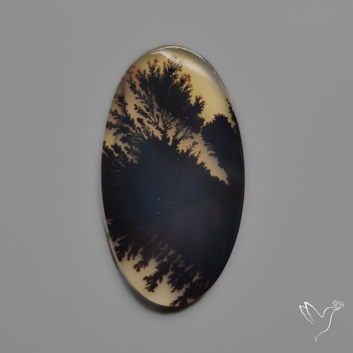 Scenic Agate Cabochon