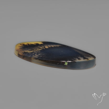 Scenic Agate Cabochon