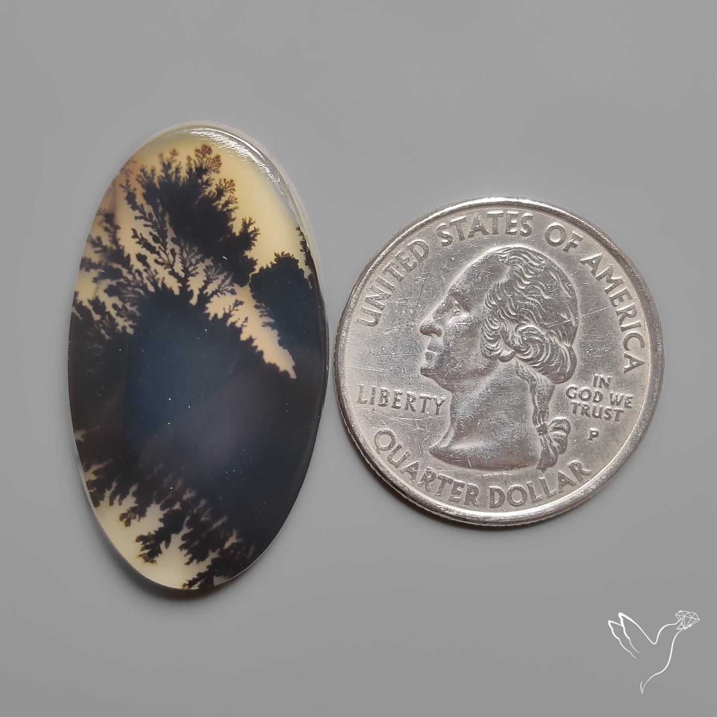 Scenic Agate Cabochon