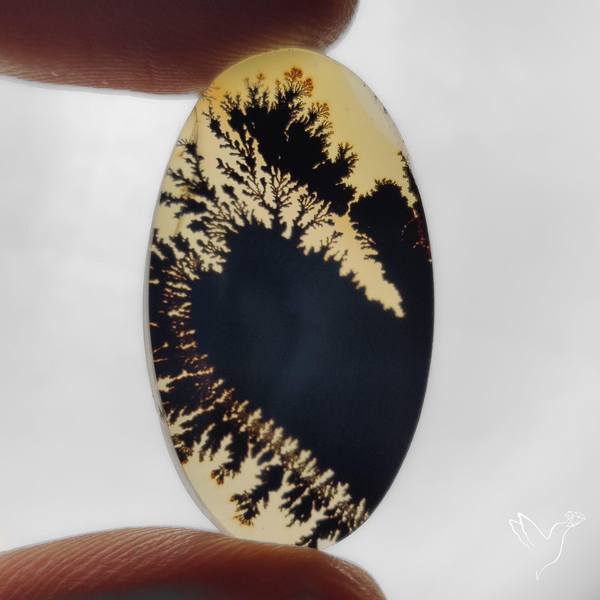 Scenic Agate Cabochon