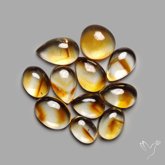 Trapiche Citrine Cabochon Lot