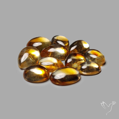Trapiche Citrine Cabochon Lot