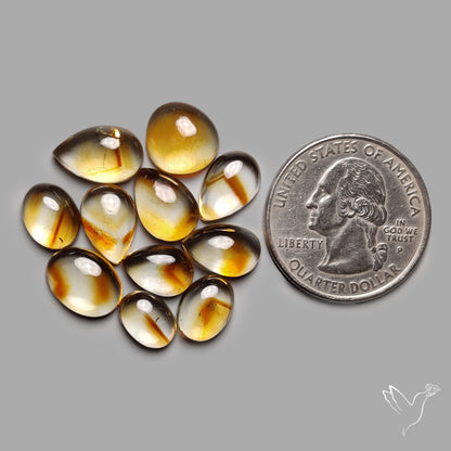 Trapiche Citrine Cabochon Lot