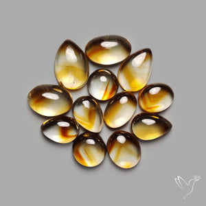 Trapiche Citrine Cabochon Lot