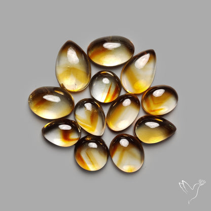 Trapiche Citrine Cabochon Lot