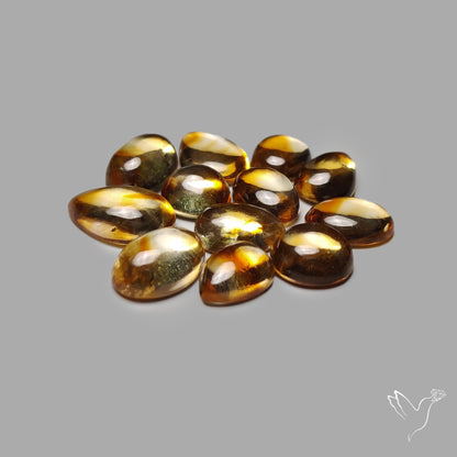 Trapiche Citrine Cabochon Lot