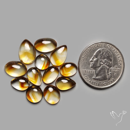 Trapiche Citrine Cabochon Lot