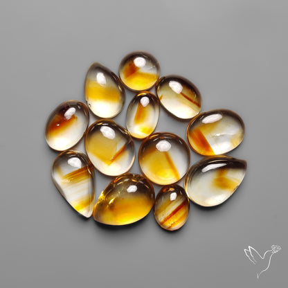 Trapiche Citrine Cabochon Lot