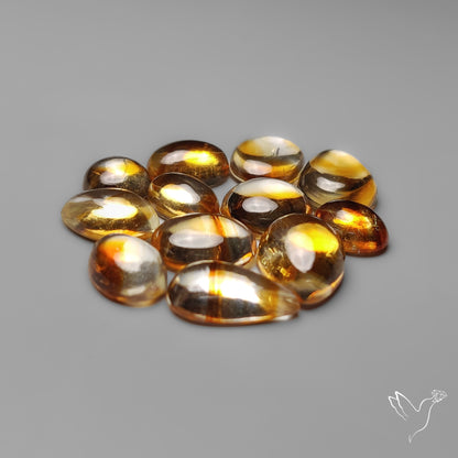 Trapiche Citrine Cabochon Lot
