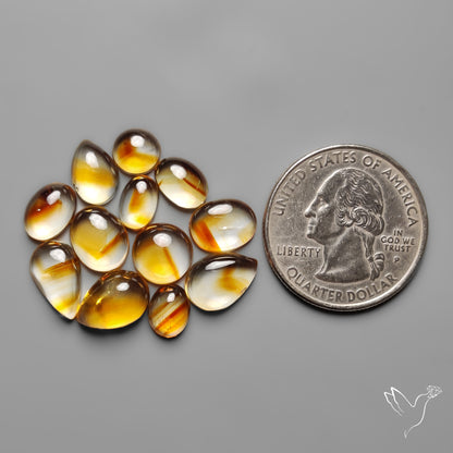 Trapiche Citrine Cabochon Lot