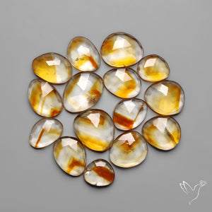 Trapiche Citrine Cabochon Rose Cuts Lot