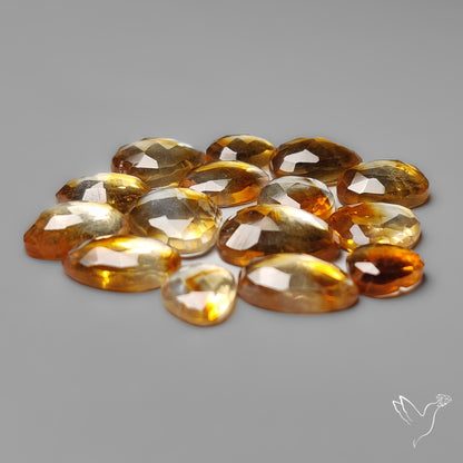 Trapiche Citrine Cabochon Rose Cuts Lot