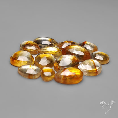 Trapiche Citrine Cabochon Rose Cuts Lot