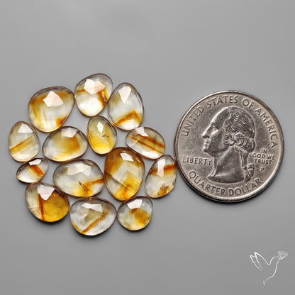 Trapiche Citrine Cabochon Rose Cuts Lot