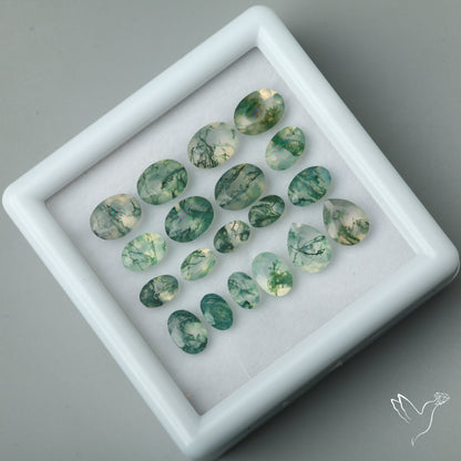 Moss Agates Set High Grade Faceted Clear