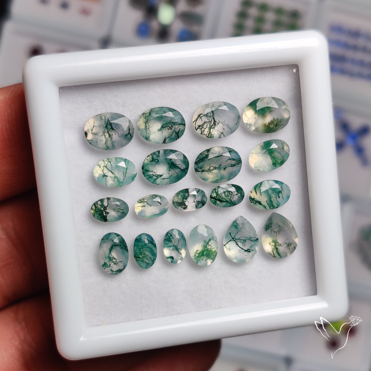 Moss Agates Set High Grade Faceted Clear