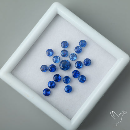 AAA Blue Kyanite Rounds Set