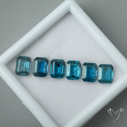 Large Teal Moss Kyanites Calibrated Set Octogon Cut Faceted