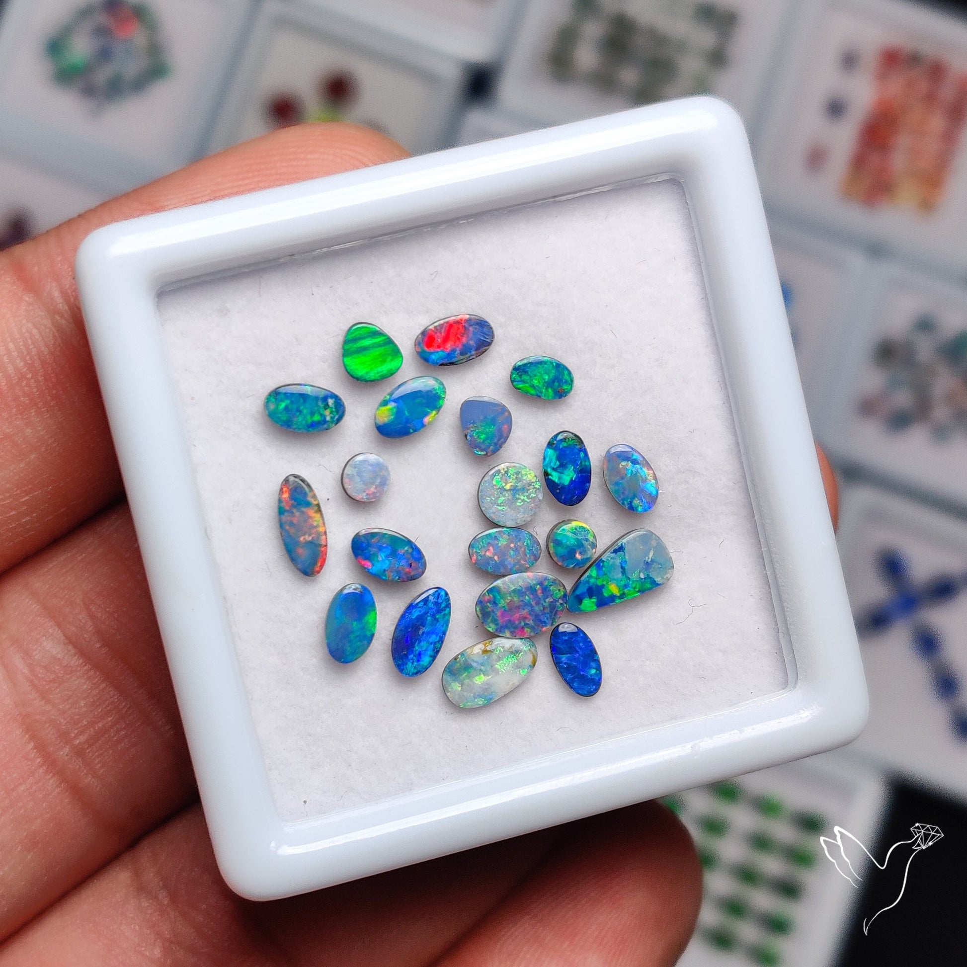 Australian Lightening Ridge Opals Smalls Set (backed)