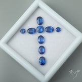 High Grade Blue Kyanites Faceted Set