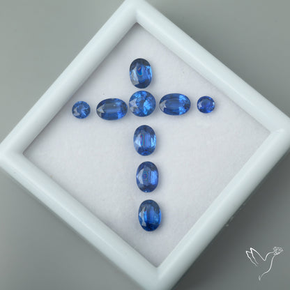 High Grade Blue Kyanites Faceted Set