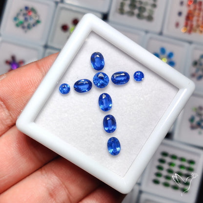 High Grade Blue Kyanites Faceted Set