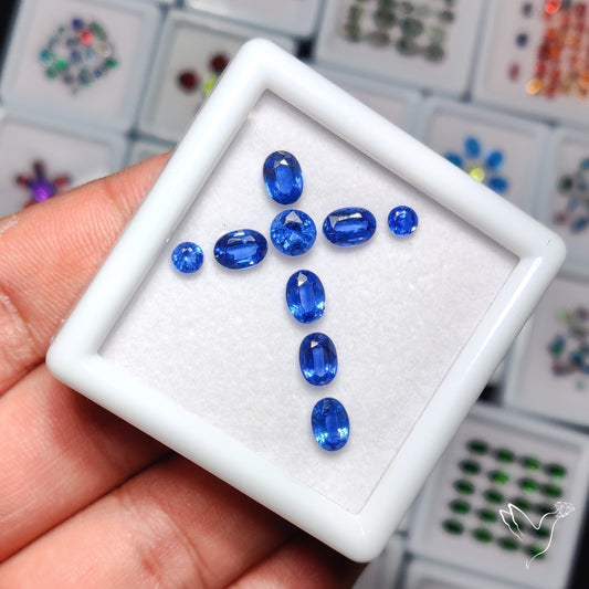 High Grade Blue Kyanites Faceted Set