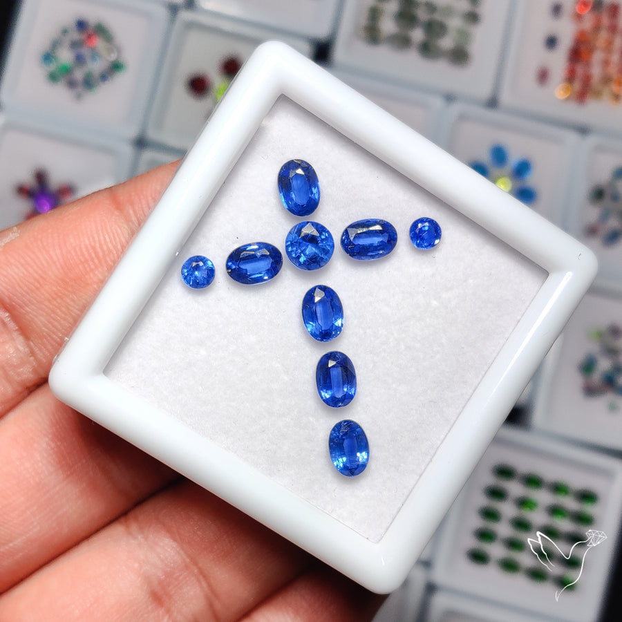 High Grade Blue Kyanites Faceted Set