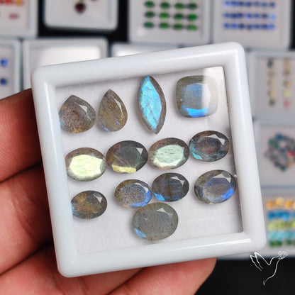 Selected Labradorites Faceted Set