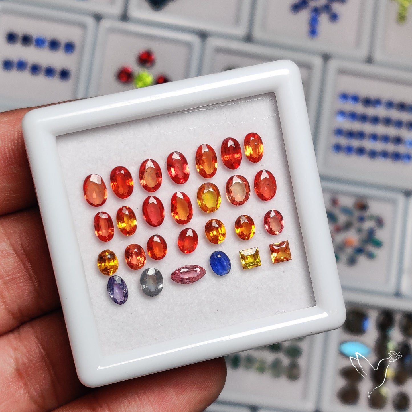 High Grade Multi Sapphires Set