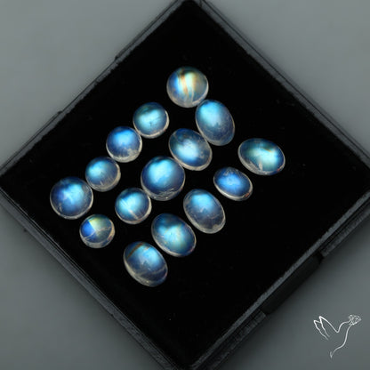 High Grade Rainbow Moonstone Cabochons Set