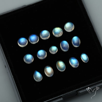 High Grade Rainbow Moonstone Cabochons Set