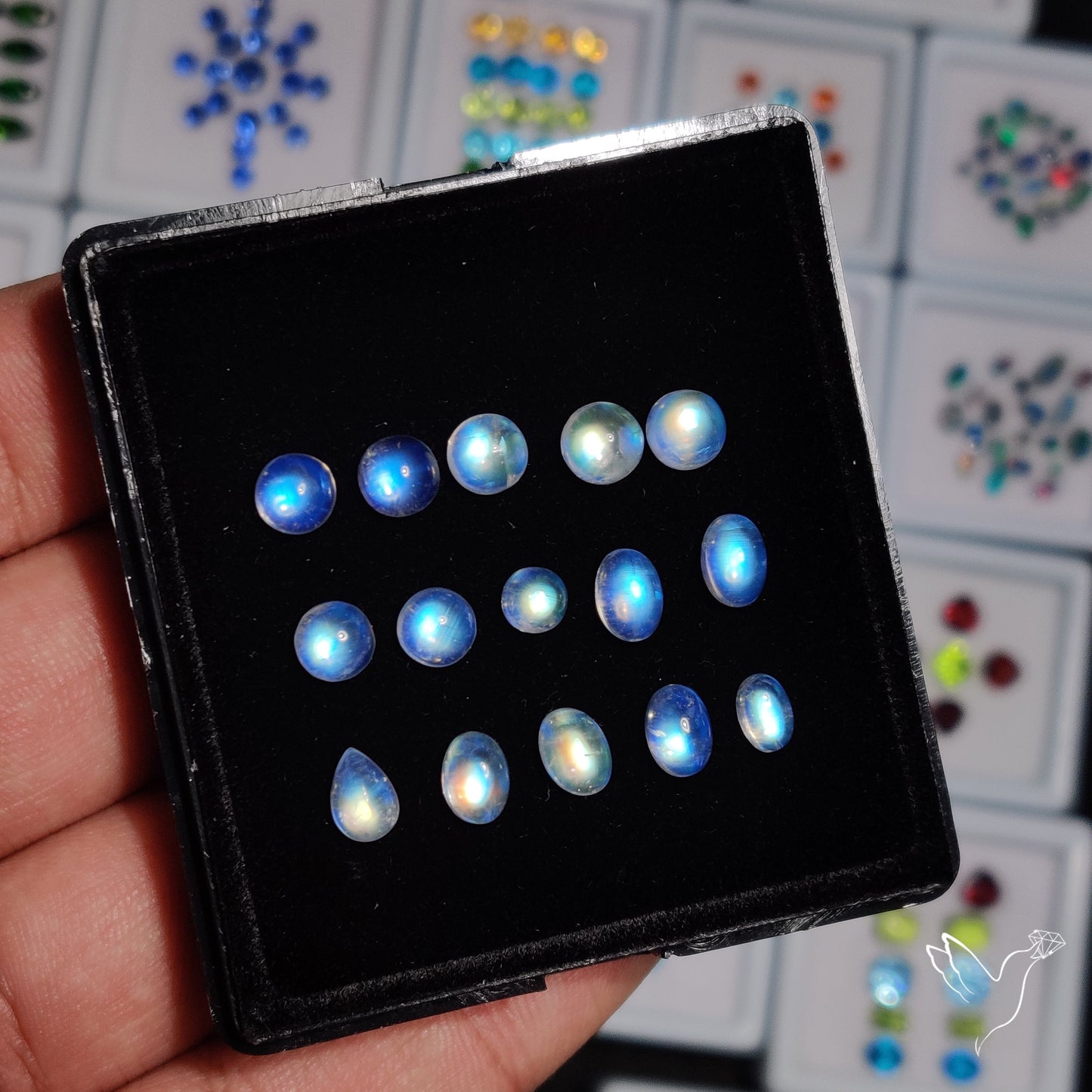 High Grade Rainbow Moonstone Cabochons Set