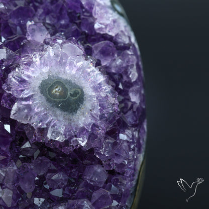 Amethyst Druzy Flower Cluster Specimen