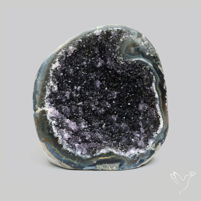 Deep Purple Amethyst Druzy Cluster Specimen