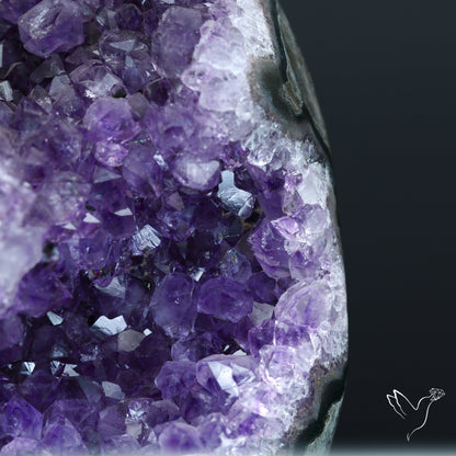 Black Amethyst Stalactite Cluster Druzy Specimen